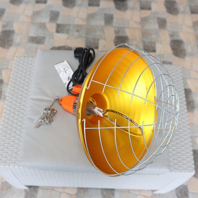 Untitled-1_0002_WhatsApp Image 2024-09-28 at 10.25.45 AM (2)