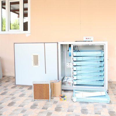 Untitled-1_0004_WhatsApp Image 2024-09-28 at 10.25.44 AM